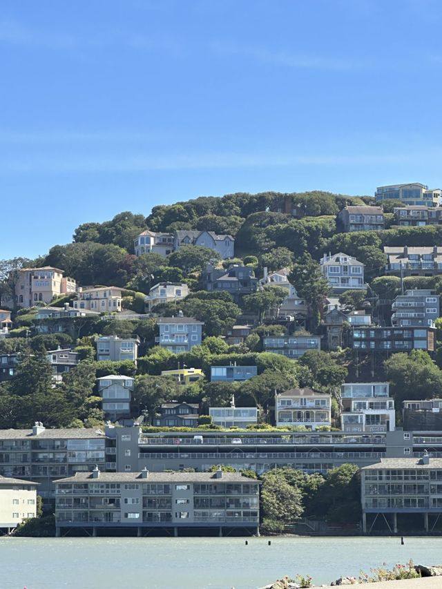 Homes on a hillside above the water
