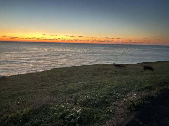 Coastal bluff at sunset