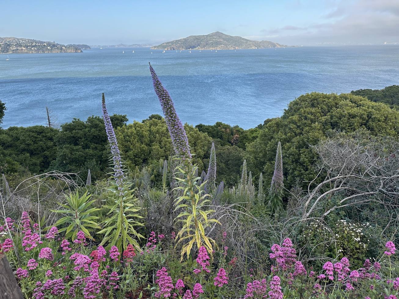 Bay view over open water