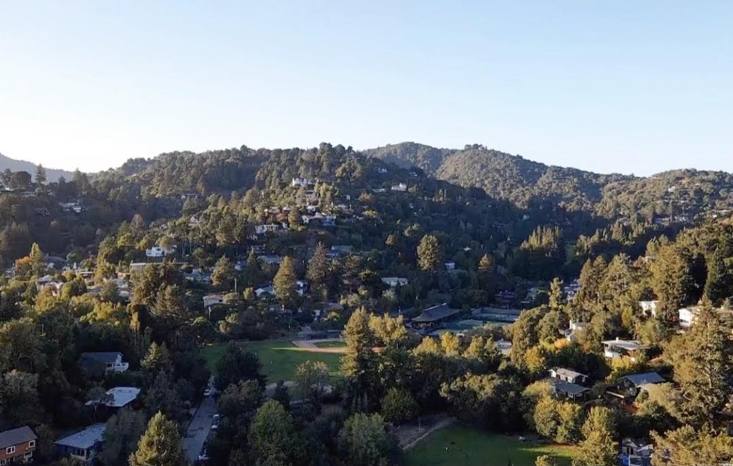 Homes tucked into wooded hills above a Marin town