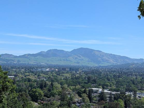 Tree-covered valley below Mount Diablo under a blue sky